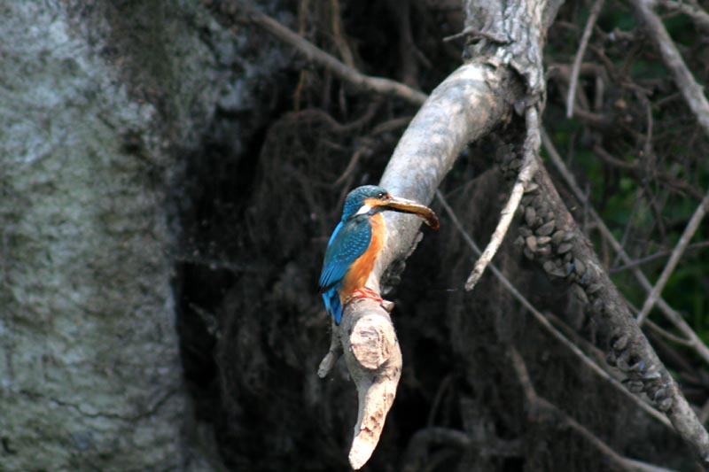 Killikus® Fotographie Killikus® Fotographie